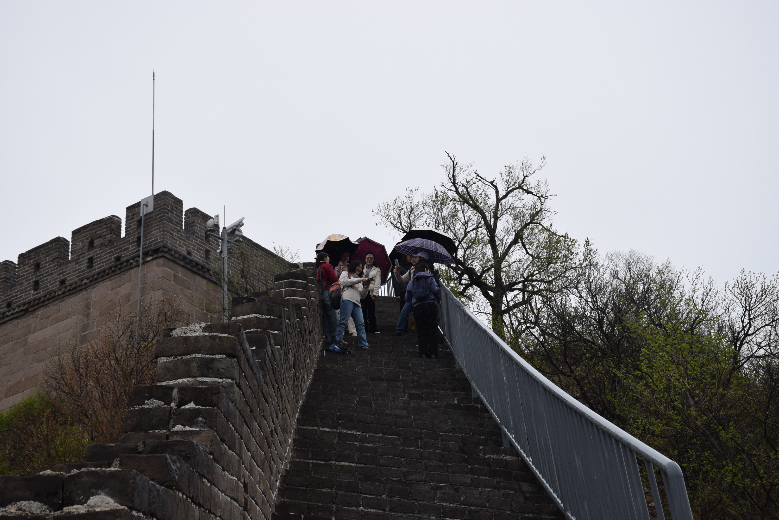 DSC_0296.JPG