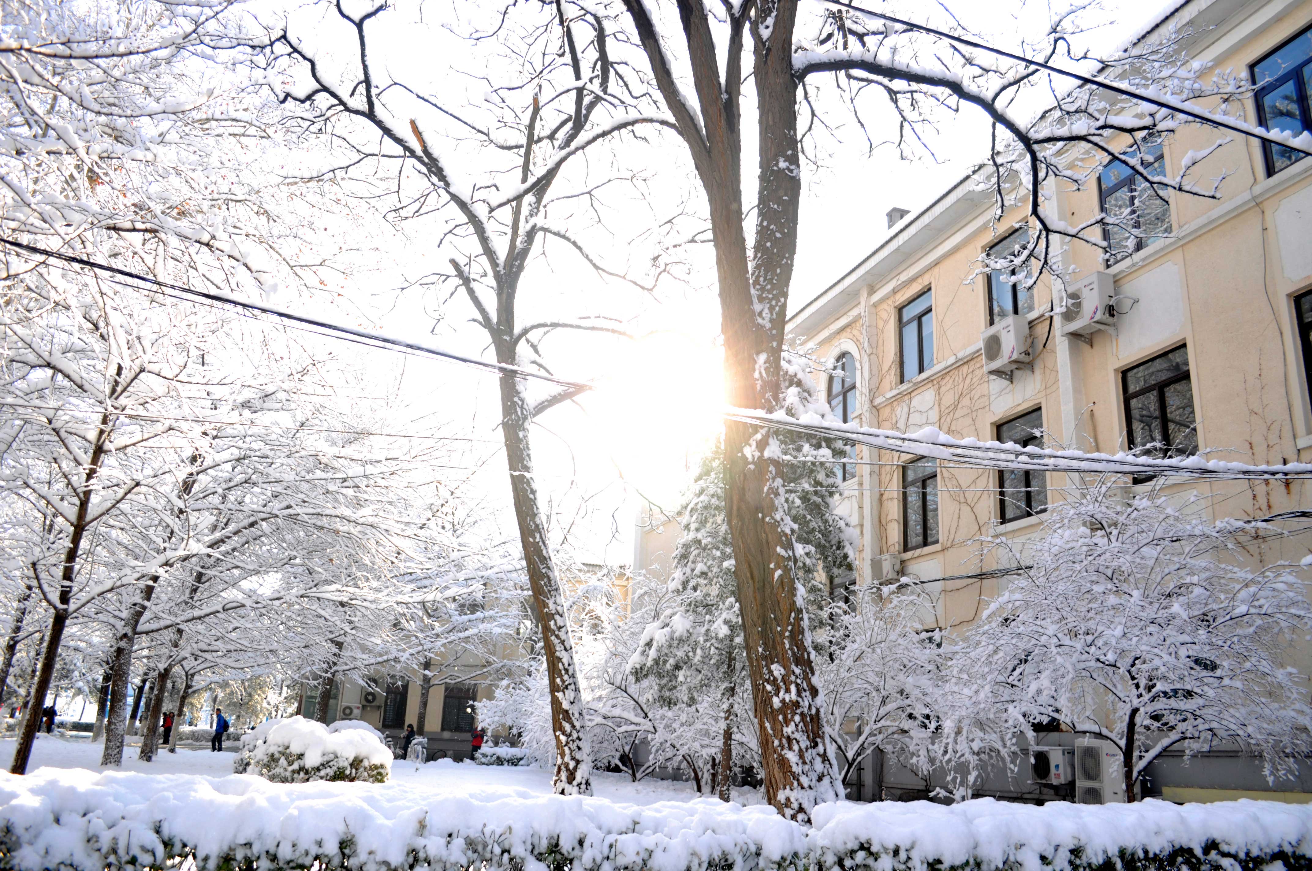 4.学院外景.jpg